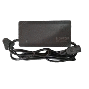 48V+3A LEAD CHARGER