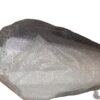 Hero optima Mudguard